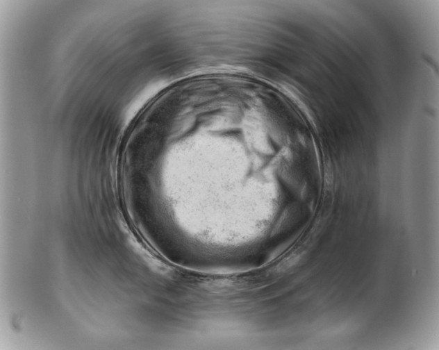 X0000101961054200808011103