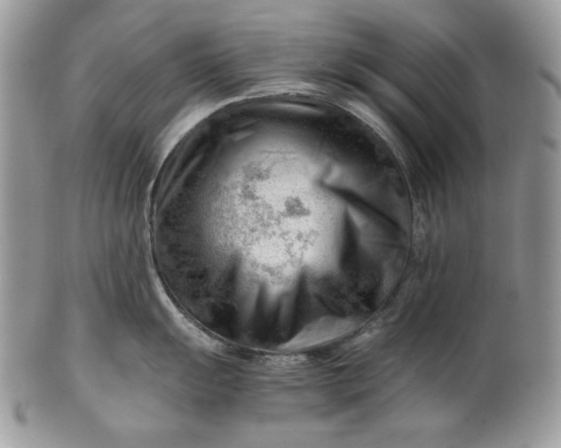 X0000101961055200808011103