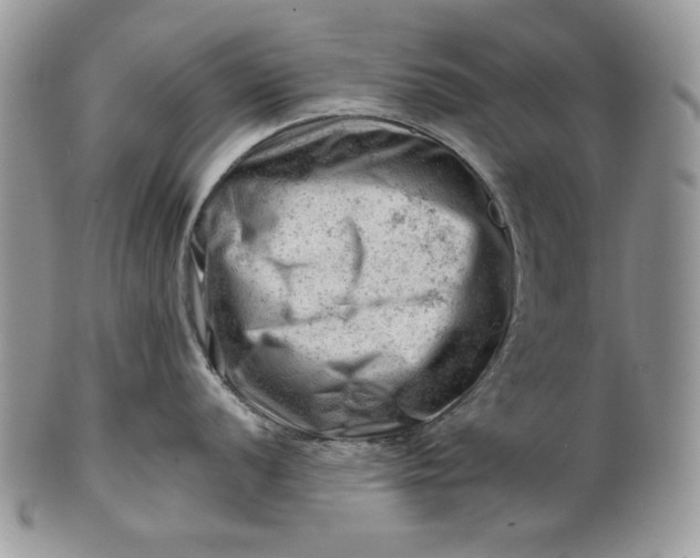 X0000101961056200808011103