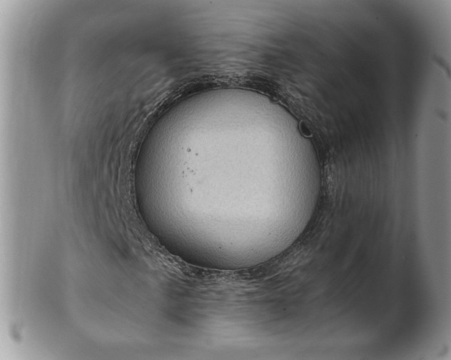 X0000101961057200808011103