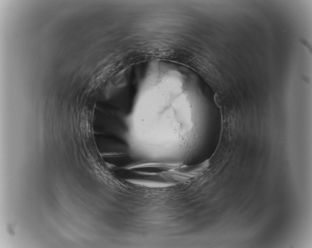 X0000101961058200808011103