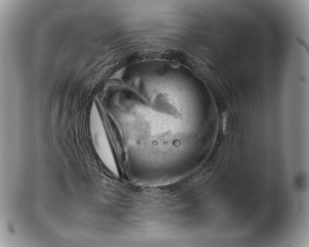 X0000101961059200808011103