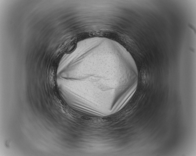 X0000101961060200808011103