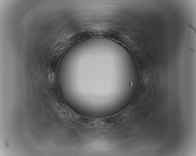 X0000101961061200808011103