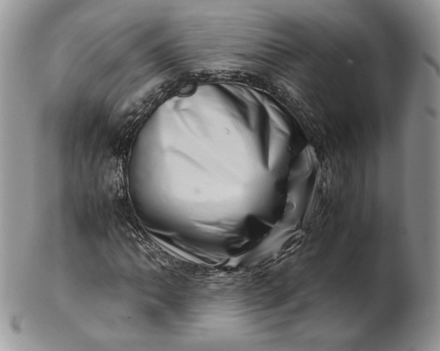 X0000101961062200808011103