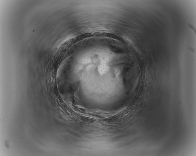 X0000101961063200808011103