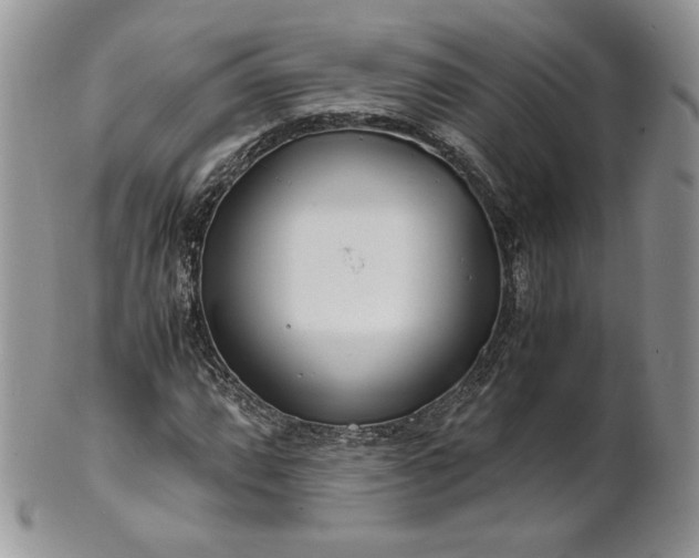 X0000101961064200808011103