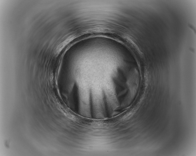 X0000101961065200808011103