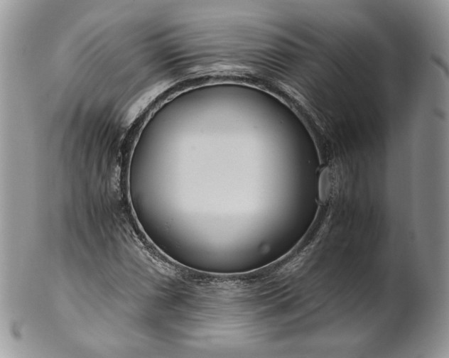 X0000101961066200808011103