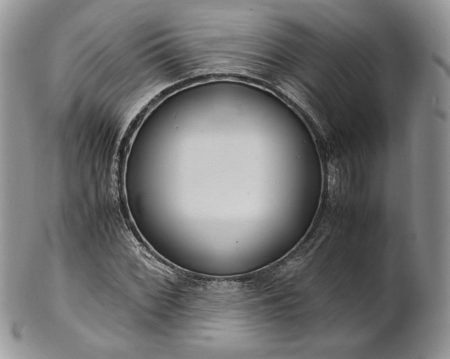 X0000101961068200808011102