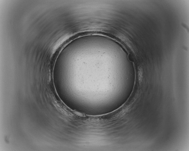 X0000101961069200808011102