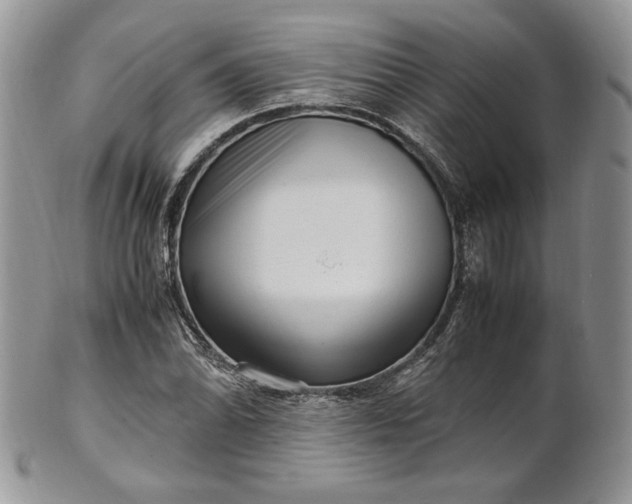 X0000101961070200808011102