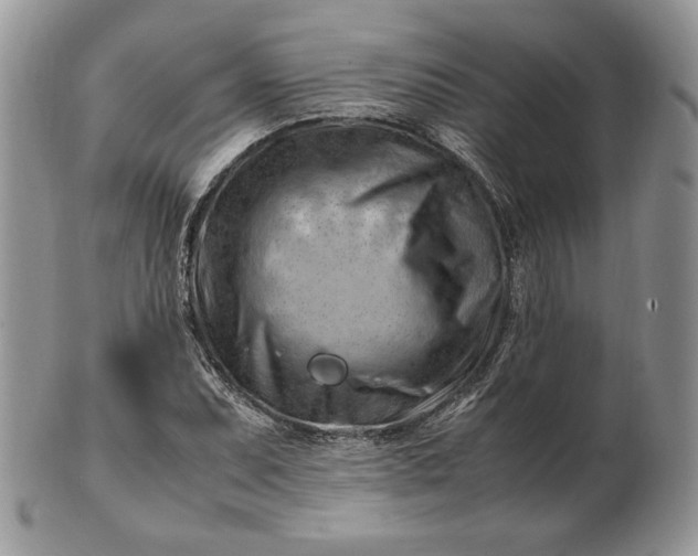 X0000101961071200808011102