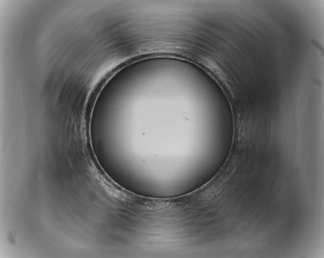 X0000101961072200808011102