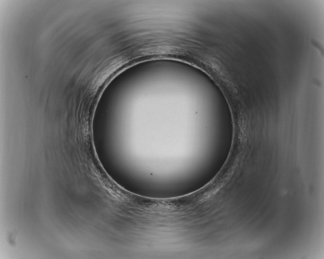 X0000101961073200808011102