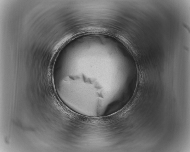 X0000101961074200808011102