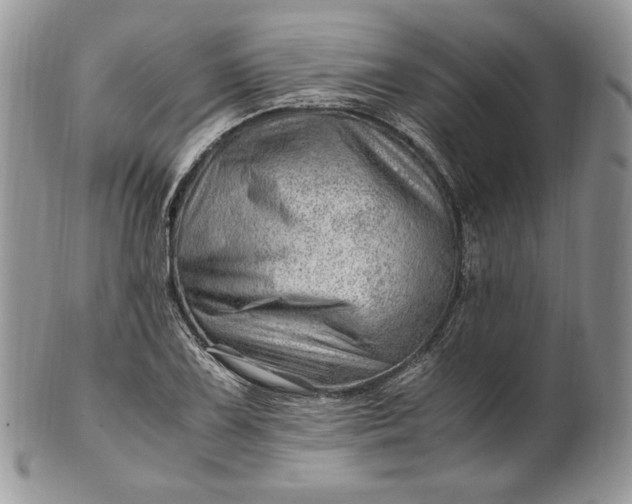 X0000101961075200808011102