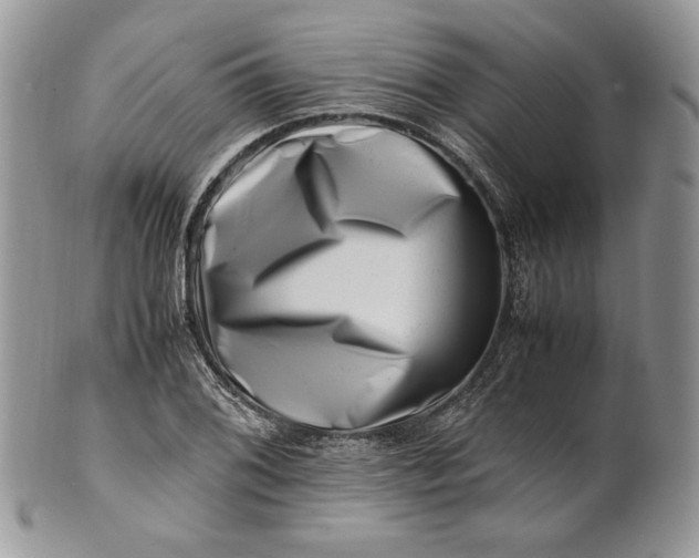 X0000101961076200808011102