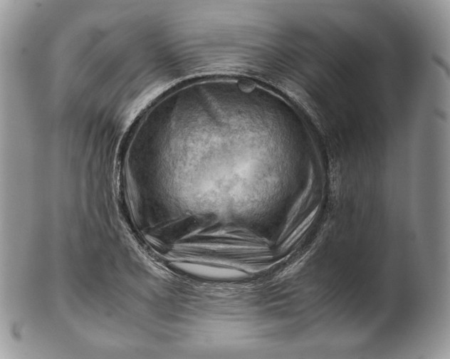 X0000101961077200808011102