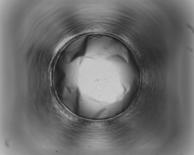 X0000101961078200808011102