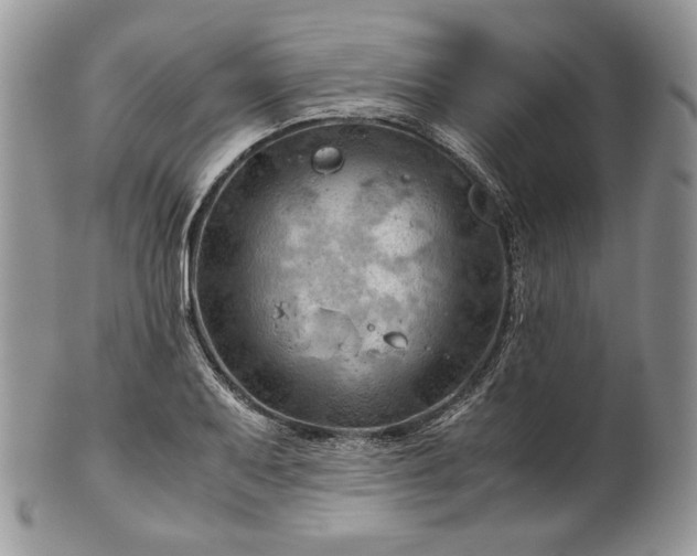 X0000101961079200808011102