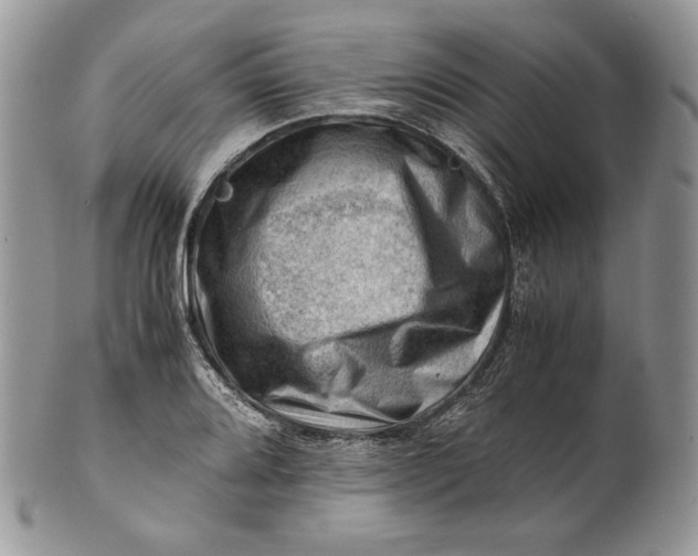 X0000101961080200808011102