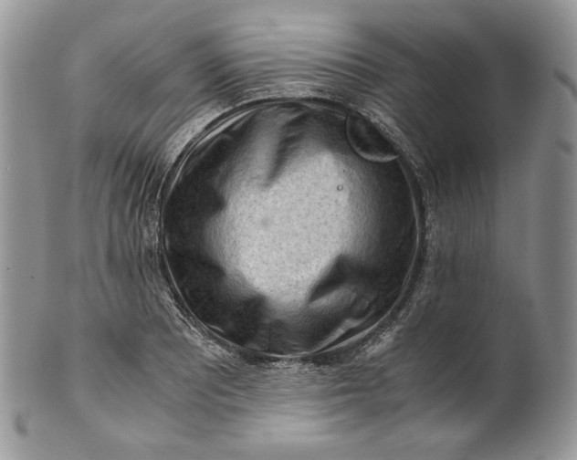 X0000101961081200808011102