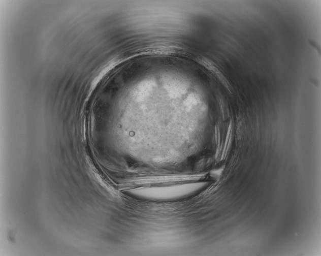 X0000101961083200808011102