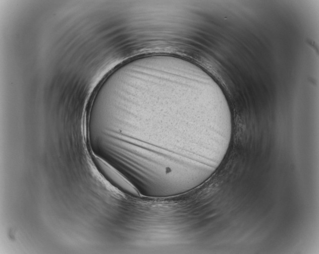 X0000101961084200808011102