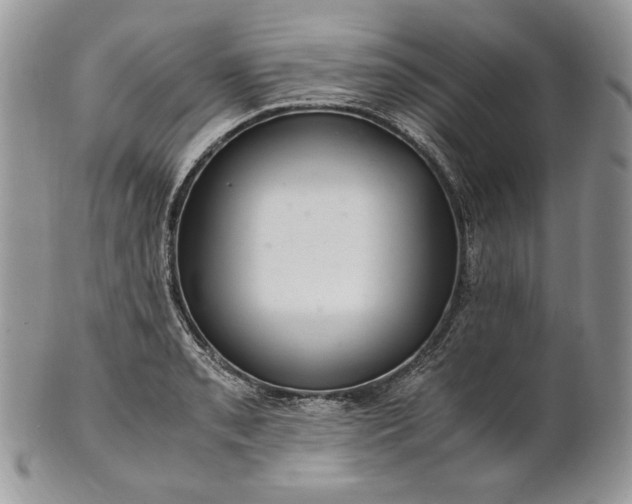 X0000101961085200808011102