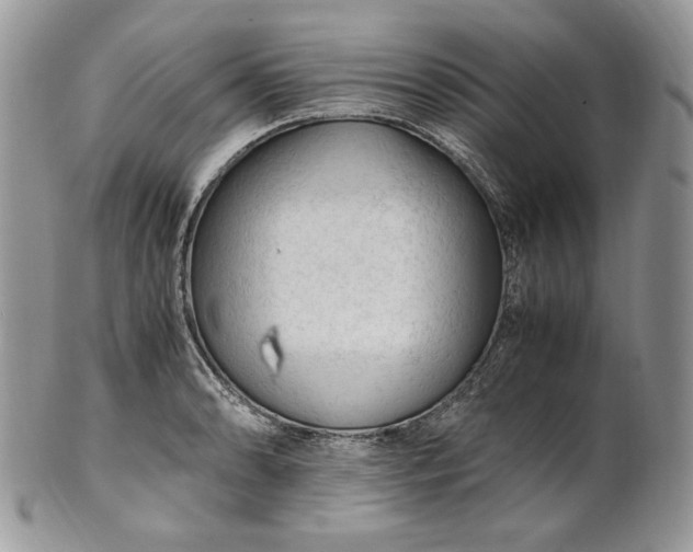 X0000101961086200808011102