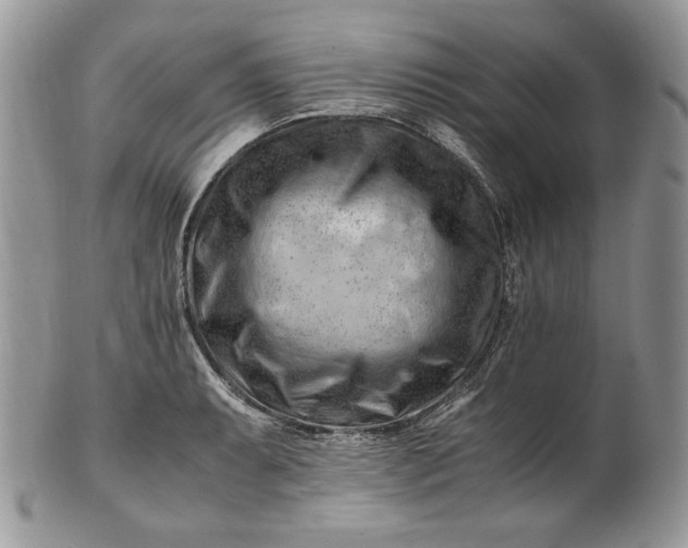 X0000101961087200808011102