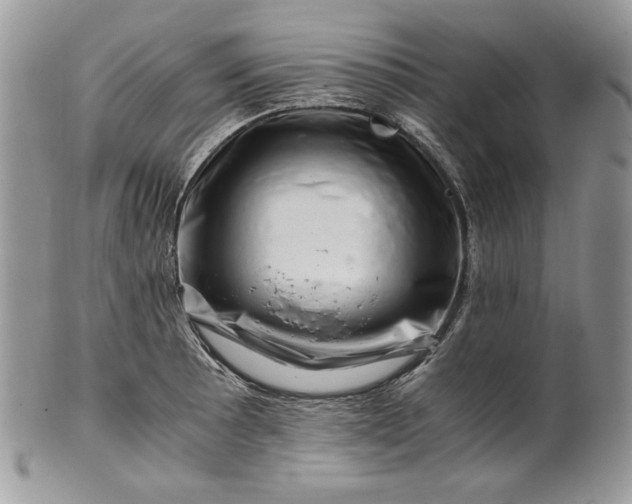 X0000101961089200808011102