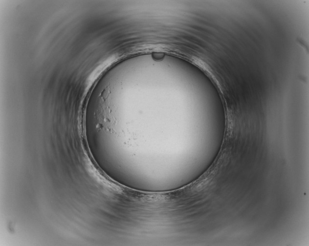 X0000101961090200808011102