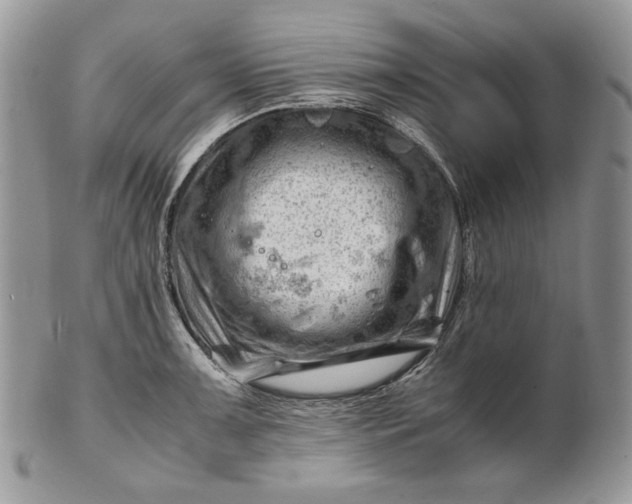 X0000101961091200808011102