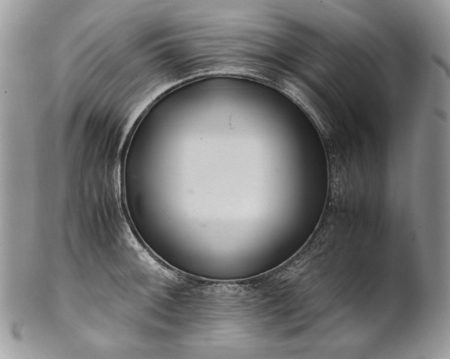 X0000101961092200808011102