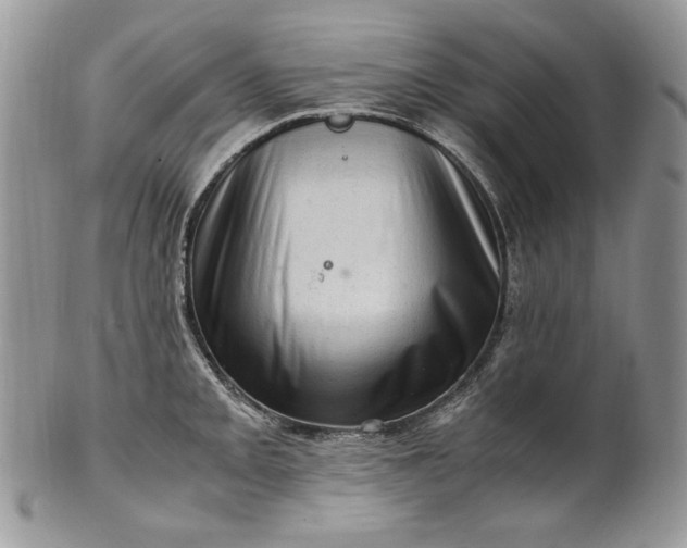 X0000101961093200808011102