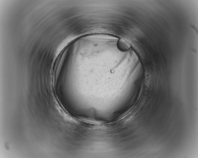 X0000101961094200808011102