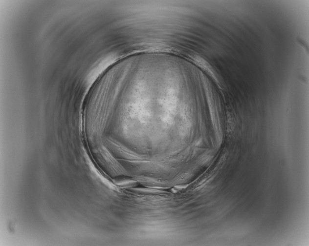 X0000101961095200808011102