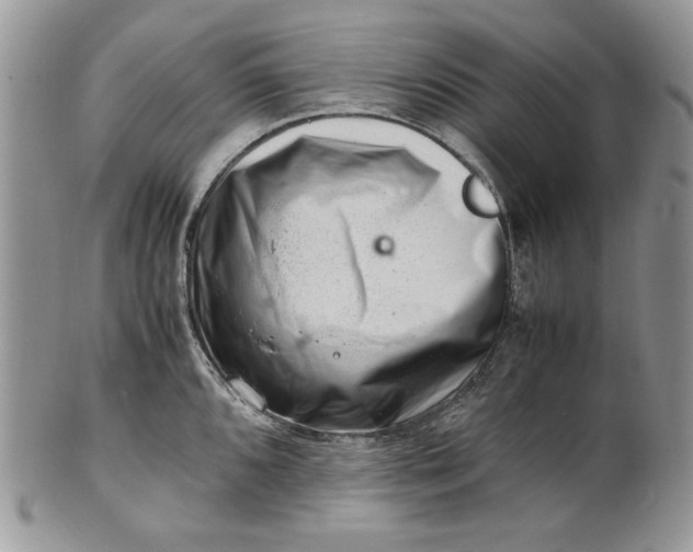 X0000101961096200808011102