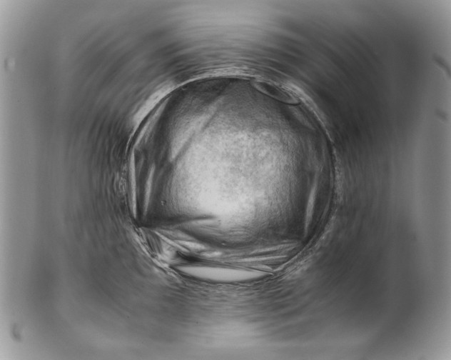 X0000101961097200808011102