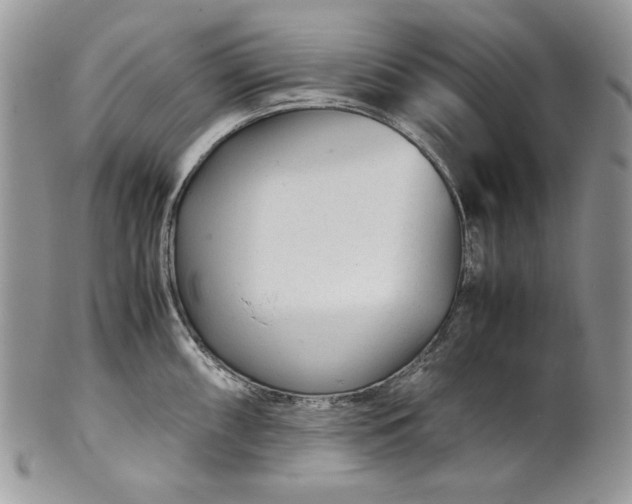 X0000101961098200808011102