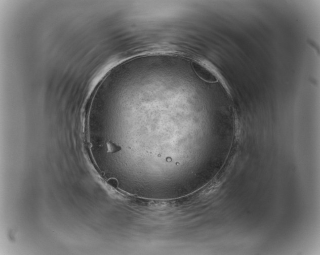 X0000101961099200808011102