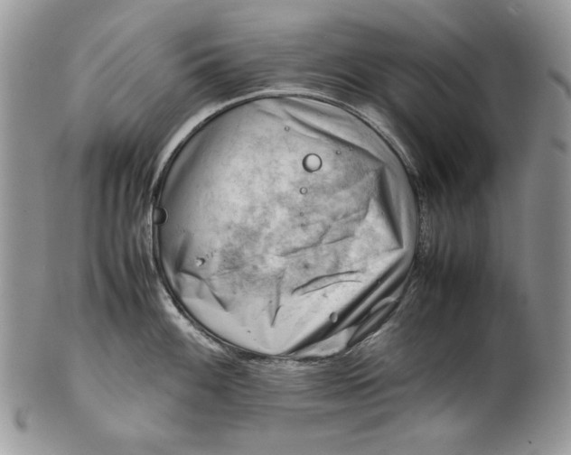 X0000101961100200808011102