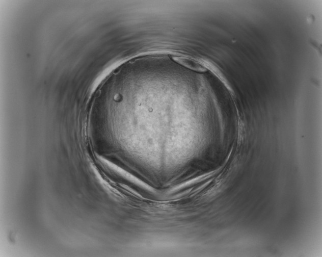 X0000101961101200808011102