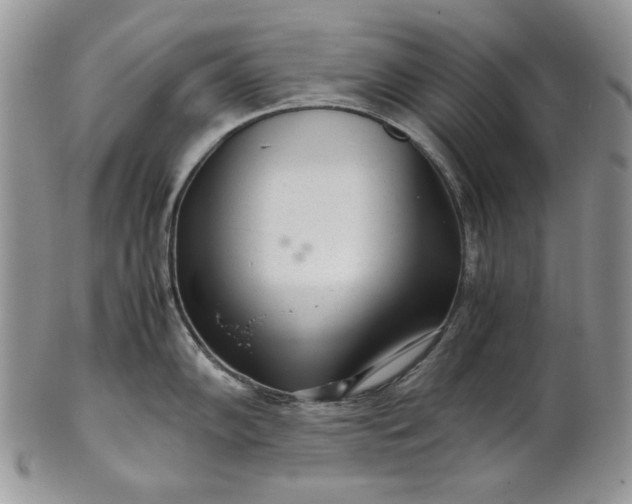 X0000101961102200808011102