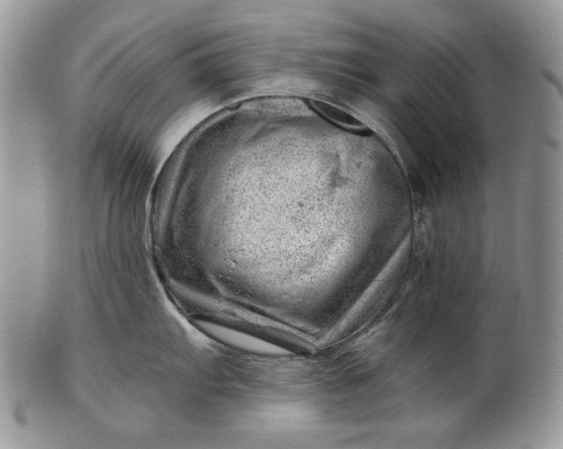 X0000101961103200808011102