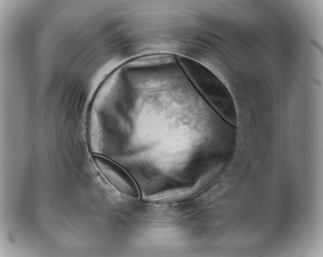 X0000101961104200808011102