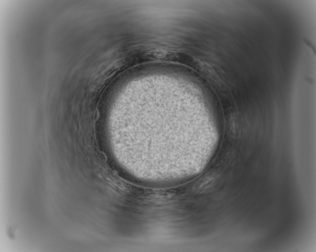 X0000101961105200808011101