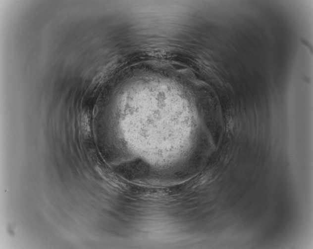 X0000101961106200808011101